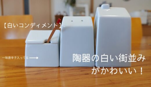 【白いコンディメント】陶器のかわいい卓上調味料入れ